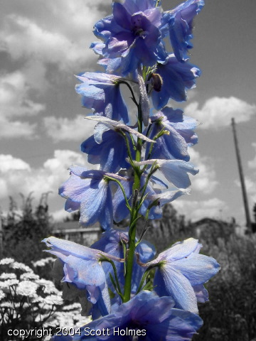 gardjune 06.jpg