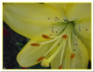 139-3994_IMG.JPG